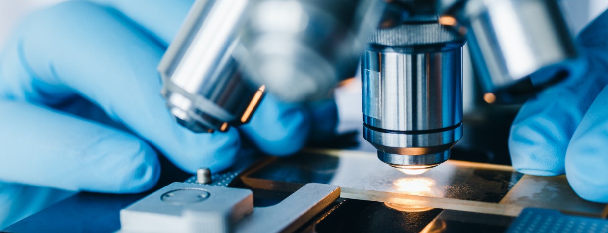 Allgemeine Histologie 1 shutterstock 1919496260